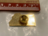 Veterans of Foreign Wars Post 1087 Great Falls MT Lapel Hat Pin DF