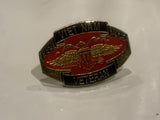 Vietnam Veteran Lapel Hat Pin DF