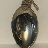 Canmore Municipal Hospital collectable Souvenir Spoon PO
