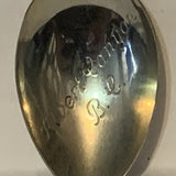 Canyon Hot Springs Albert Canyon BC collectable Souvenir Spoon PP
