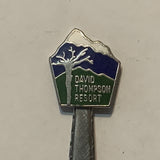 David Thompson Resort Mountains Alberta collectable Souvenir Spoon PP