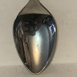 David Thompson Resort Mountains Alberta collectable Souvenir Spoon PP