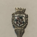 Jasper Park Alberta Wild Rose Flower collectable Souvenir Spoon PQ