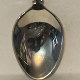 The Good Samaritan Society 35 Years of Service 1949 1984 collectable Souvenir Spoon PQ