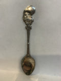 New Zealand Kiwi Bird Souvenir Spoon