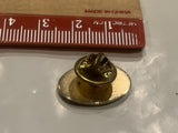 Winnipeg City Manitoba Lapel Hat Pin DI