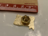TOPS Secretary Lapel Hat Pin DI