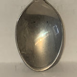 Tyrrell Museum of Palaeontology Drumheller Alberta collectable Souvenir Spoon PR