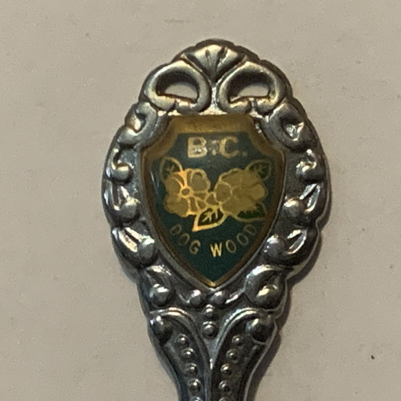 Penticton  BC Dogwood Flowers collectable Souvenir Spoon PT
