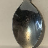 Penticton  BC Dogwood Flowers collectable Souvenir Spoon PT