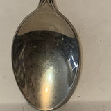 BC Dogwood Flower collectable Souvenir Spoon PT