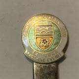 County of Mountain View Alberta Crest Emblem Collectable Souvenir Spoon DB