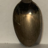 County of Mountain View Alberta Crest Emblem Collectable Souvenir Spoon DB