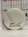 End of Rainbow pot of Carrots Bunny rabbit Button Pinback