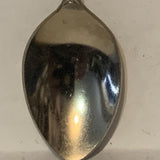 Nashville Tennessee collectable Souvenir Spoon PU