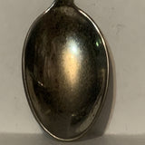 North Dakota Bison Buffalo Collectable Souvenir Spoon DC