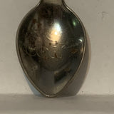 Gulf of Mexico Island Flag Collectable Souvenir Spoon DC