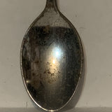 Iowa Corn Collectable Souvenir Spoon DC