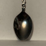 Fairmont Hot Springs Canada Collectable Souvenir Spoon DD