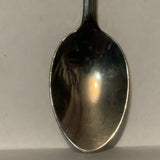 Arizona The Sun Country State Collectable Souvenir Spoon DE