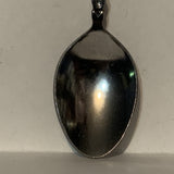 Sea world Orca Killer Whale Collectable Souvenir Spoon DE
