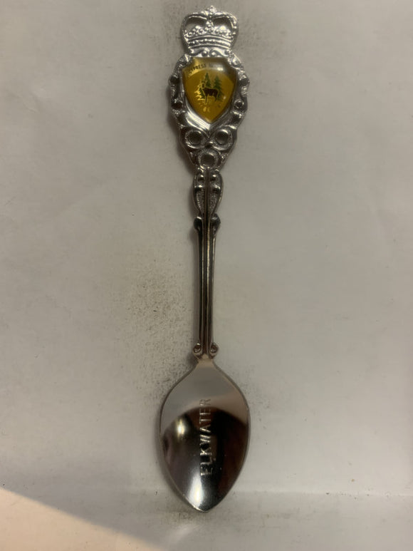 Elkwater Cypress Hills Park Alberta Souvenir Spoon