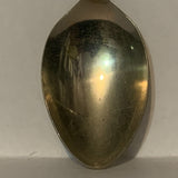 Slave Lake Alta Alberta Wild Rose Flower Collectable Souvenir Spoon DF