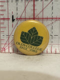 Olds College 1913 1983 Button Pinback