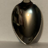 Storybrook Gardens London Canada Ontario Collectable Souvenir Spoon DG