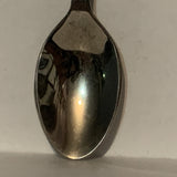 Red Jelly Bean Rock Canada Collectable Souvenir Spoon DG