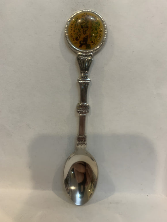 Wild N Wet Kelowna BC Souvenir Spoon