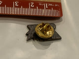 ACPVA 100 CASSA 1887 1987 Speed Skating Lapel Hat Pin BI