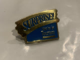 Surprise You're in Tourism Lapel Hat Pin DO