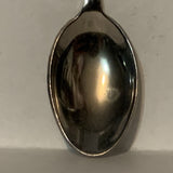 Minnesota Land of 10 000 Lakes Collectable Souvenir Spoon DH