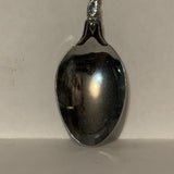 Wild Rose Alberta Flower Collectable Souvenir Spoon DH