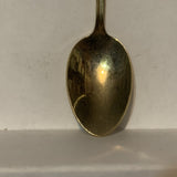 Pink Carnation Flowers Collectable Souvenir Spoon DI