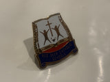 Red Deer Catholic Schools Logo Lapel Hat Pin DQ