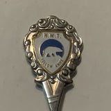 Yellow Knife N.W.T. Montain Avens Flowers Collectable Souvenir Spoon DI