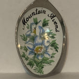 Yellow Knife N.W.T. Montain Avens Flowers Collectable Souvenir Spoon DI