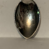 Arizona Road Runner Bird Collectable Souvenir Spoon DI