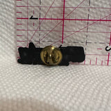 Willistan The Western Star  Lapel Pin