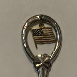 Illinois USA Flag Collectable Souvenir Spoon DJ