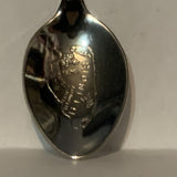 Illinois USA Flag Collectable Souvenir Spoon DJ