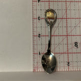 Illinois USA Flag Collectable Souvenir Spoon DJ