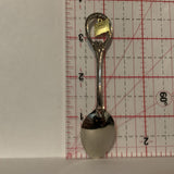Illinois USA Flag Collectable Souvenir Spoon DJ