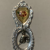 Alliance Alberta Beaver Wild Rose Flower Collectable Souvenir Spoon DJ