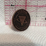 Vestar Applying Ingenuity Delivering Solutions  Lapel Pin