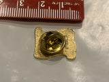 Sturgeon School Division #24 Lapel Hat Pin DS