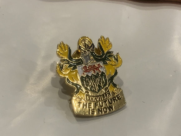 Eckville Coat of Arm's The Future's Now Lapel Hat Pin BM