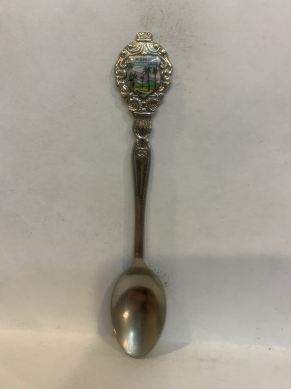 Palm Springs California Souvenir Spoon